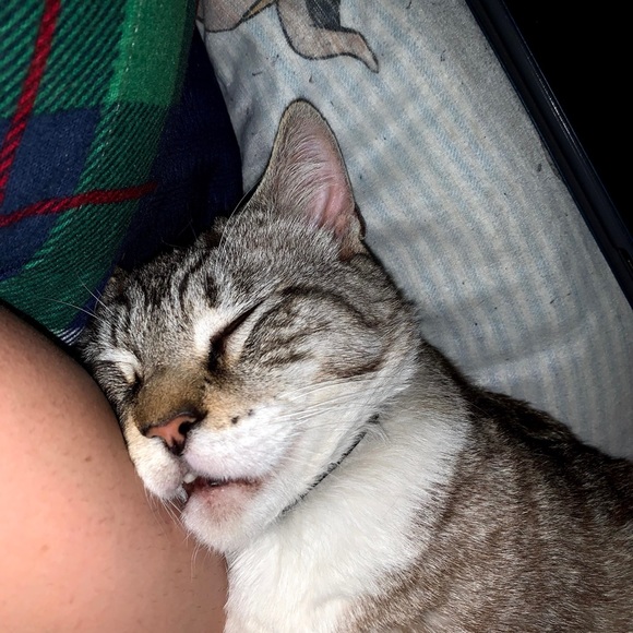 Meet your Posher, Juliette - Picture 3 of 4